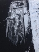 Walking on Ice 010616