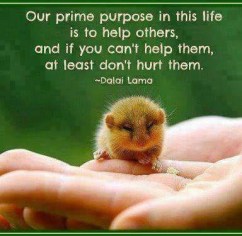 Help do not hurt Dalai Lama