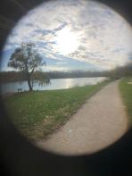 willow tree 2019 fisheye