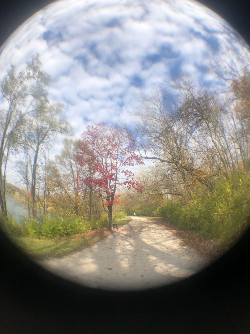 antrim-fisheye-2019-trail